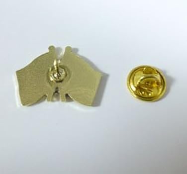 Amazon.co.jp: 国旗ピンバッジ（日本・オマーン友好旗） : おもちゃ